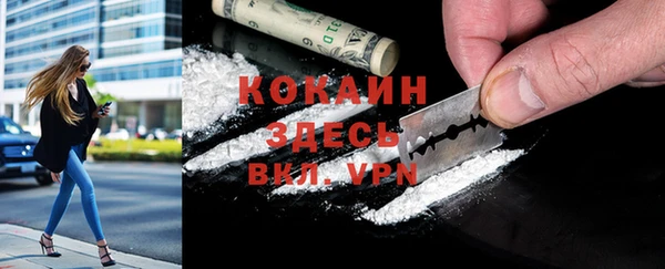 гидра Инсар