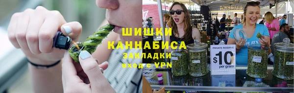 mix Инта
