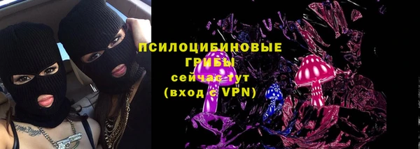 mix Инта