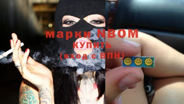 гидра Инсар