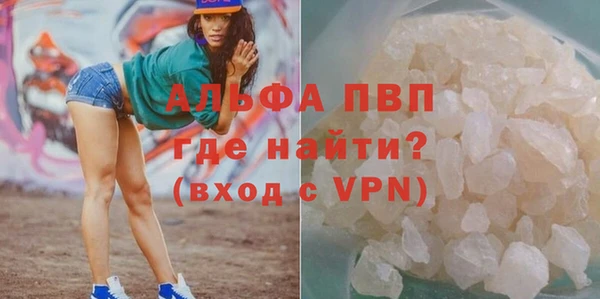 гидра Инсар