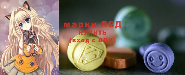 mix Инта