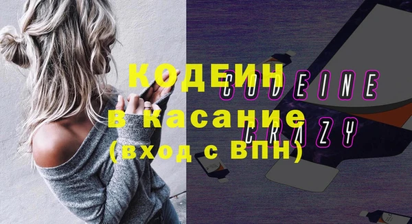 гидра Инсар