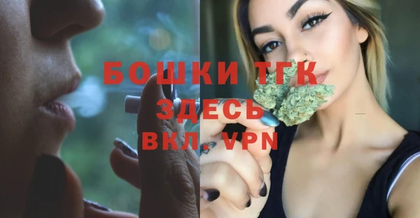mix Инта