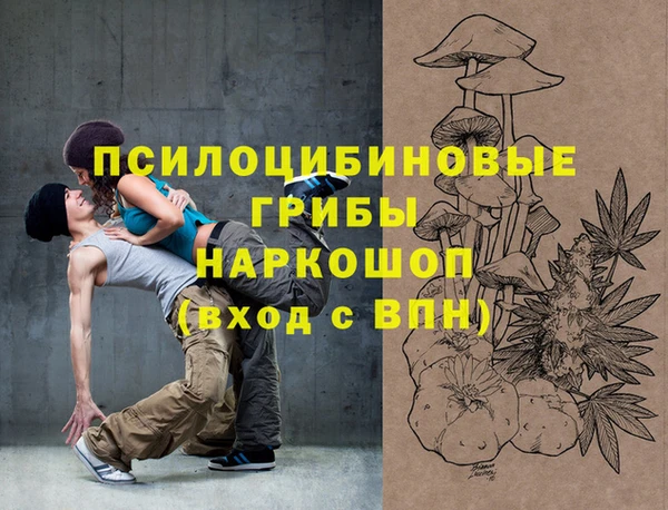 mix Инта