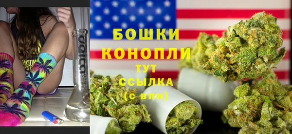 гидра Инсар