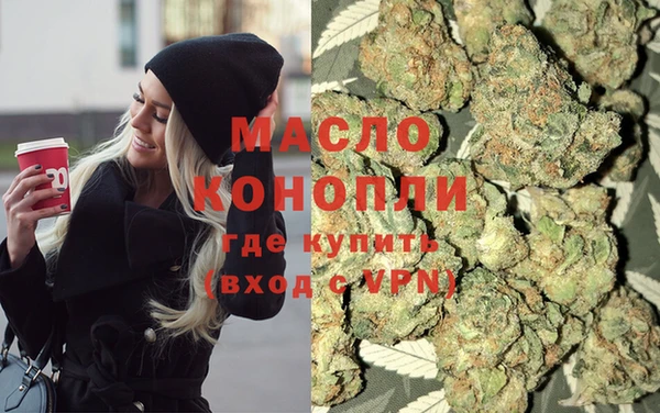 гидра Инсар