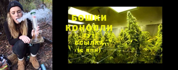 mix Инта