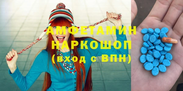гидра Инсар